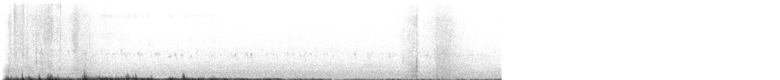 Шишкар ялиновий - ML645889886