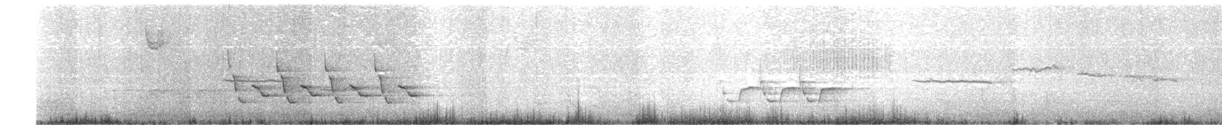 Carolina Wren - ML645890227