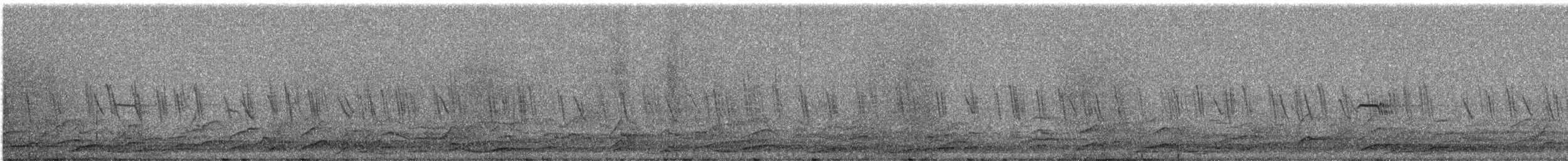 Coyote - ML645890261