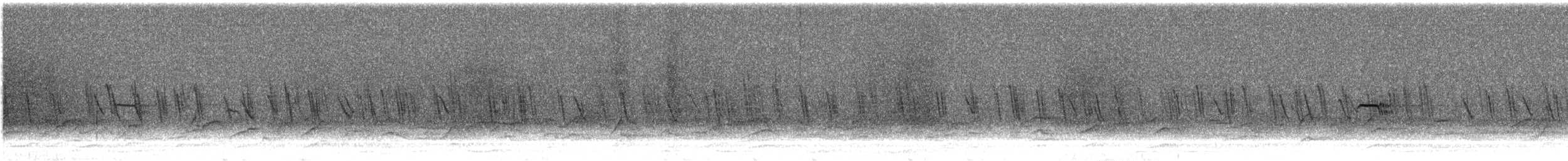 Animals - ML645890863