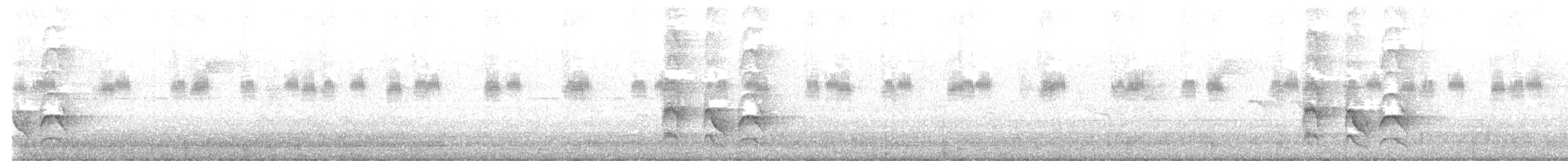 Great Kiskadee - ML645891455