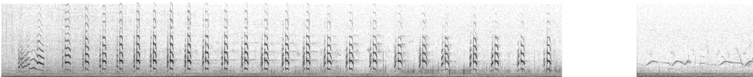 willetsnipe - ML645891583