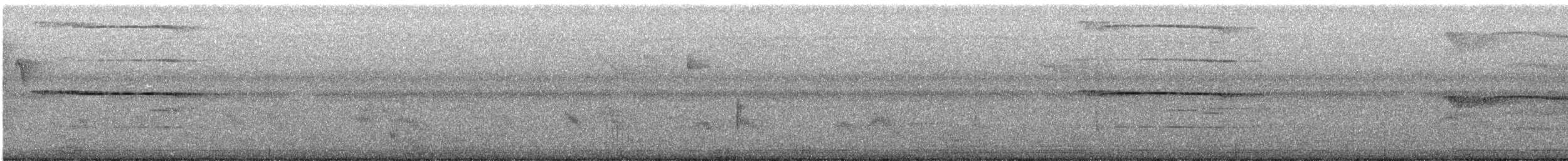 Breitflügelbussard - ML645891850