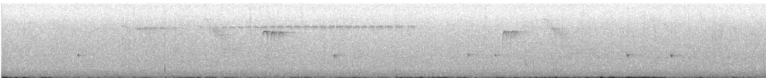 Purple Finch (Eastern) - ML645892129