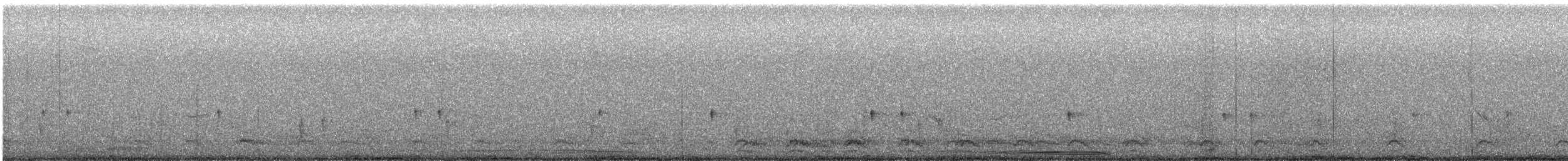 Purple Finch (Eastern) - ML645892361