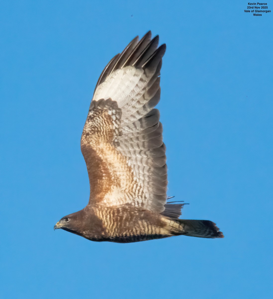 Buse variable - ML645892390