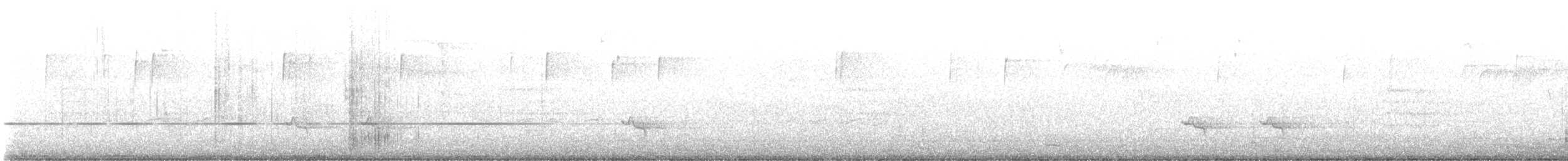 bird sp. - ML645892495