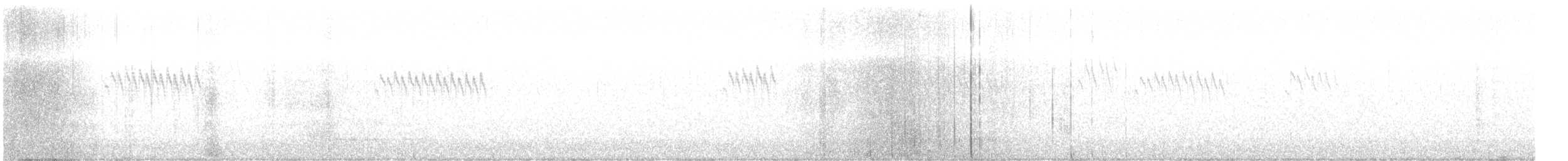 Buztanori boreala - ML645892574