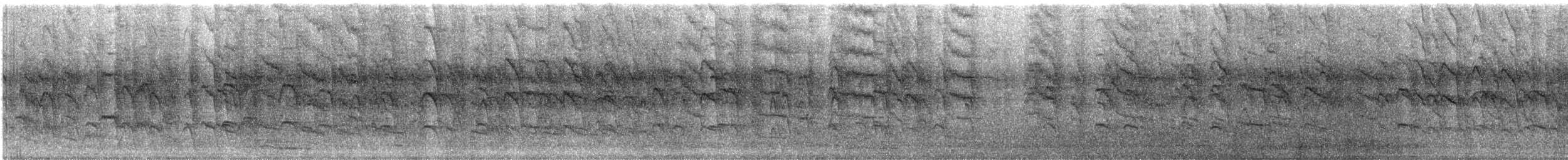 Кратеропа попеляста - ML645892973
