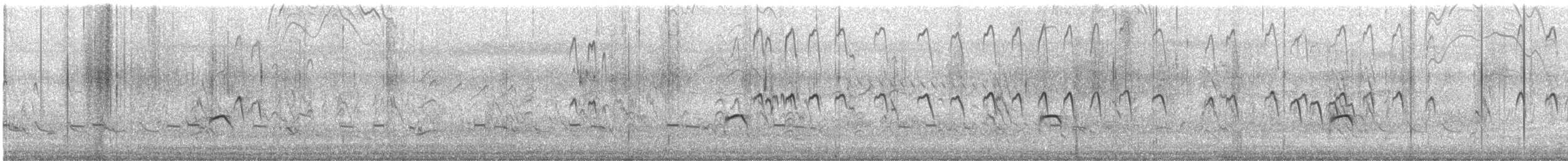 鷹斑鷸 - ML645893077