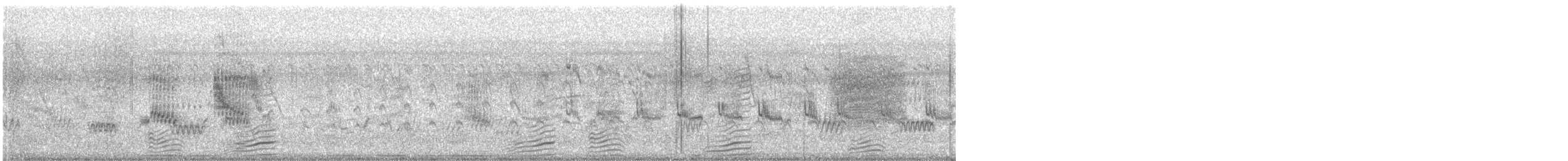 印度鵲椋鳥 - ML645893122