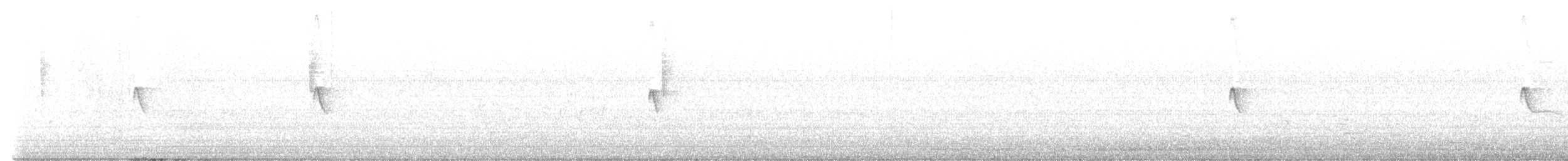 Black Phoebe - ML645893275