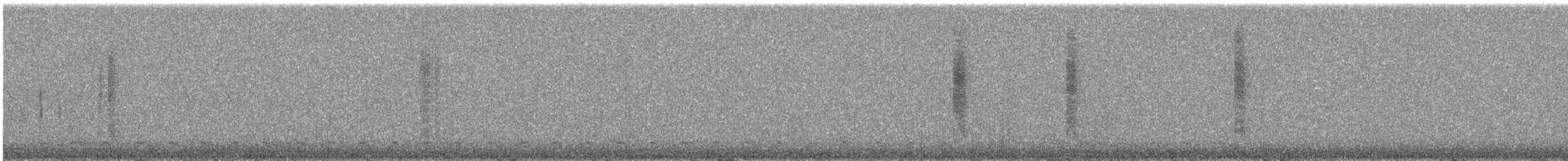 Rainbow-bearded Thornbill - ML645893309