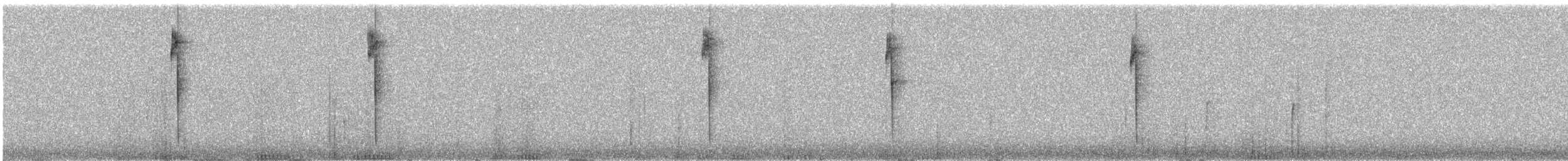 Black-tailed Trainbearer - ML645893360