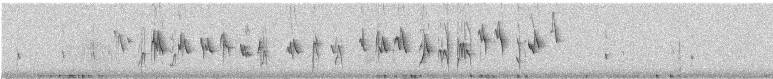 Glossy Flowerpiercer - ML645893367