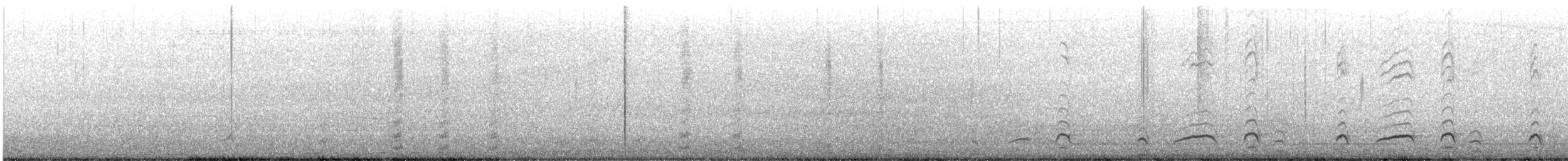 svartbukvaktel - ML645893567