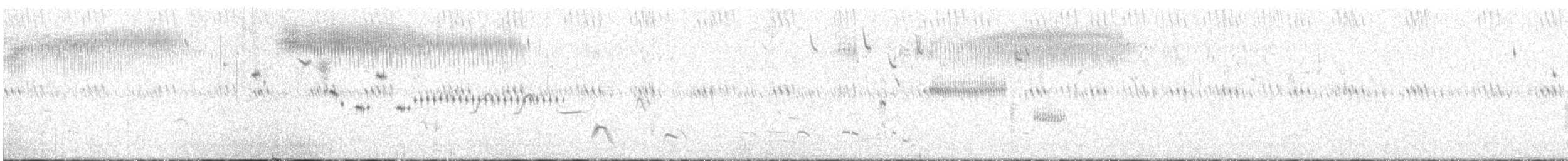 Baird's Sparrow - ML645893621