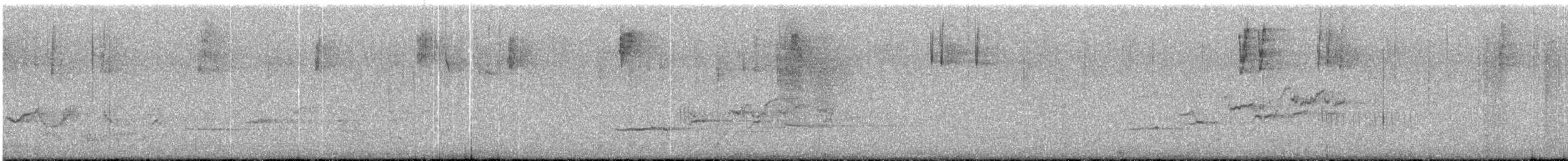 Hermit Thrush - ML645893691