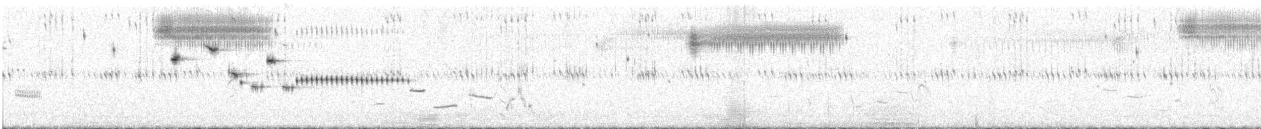 Baird's Sparrow - ML645893822