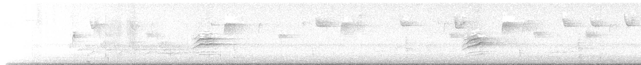 Дрізд-короткодзьоб плямистоволий - ML645894055