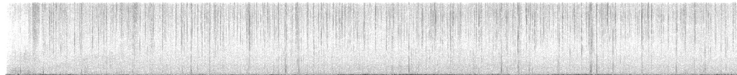 Common Raven - ML645894869