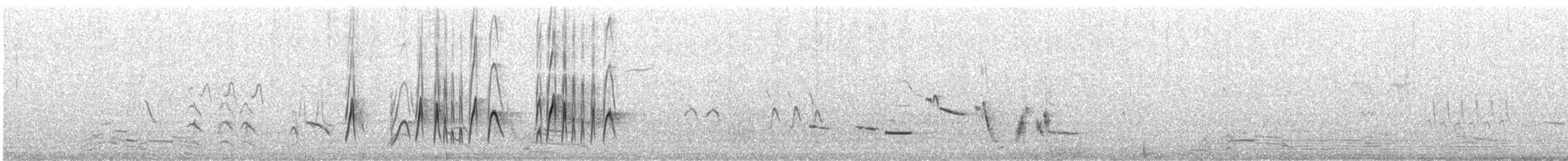 Western Kingbird - ML645895446