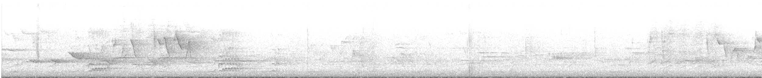 kanadaparula - ML645896157