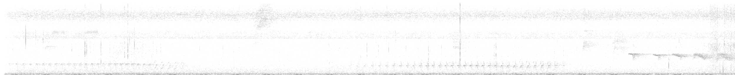 Амазонский колючник - ML645897269