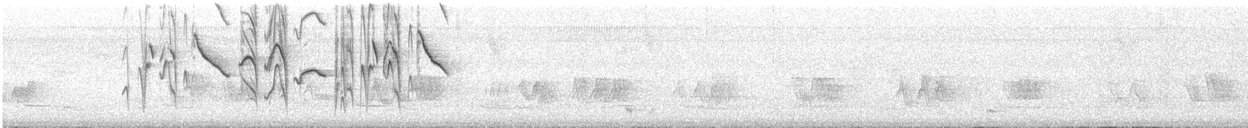 Thraupidae (tanager sp.), unbestimmt - ML645897527