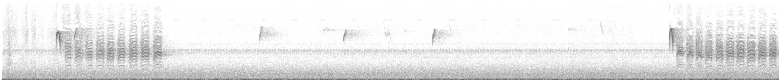 Каролинская гаичка - ML645899241