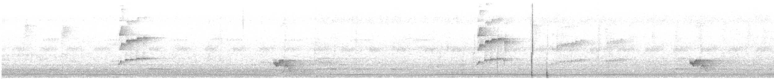 Бамбуковый тоди-тиранн - ML645899478