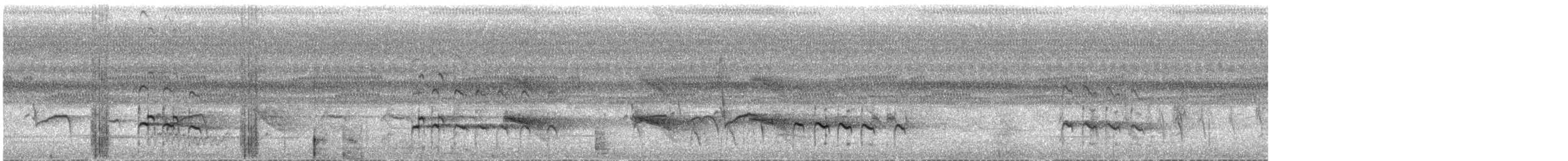 Пёстрый улит - ML645900273