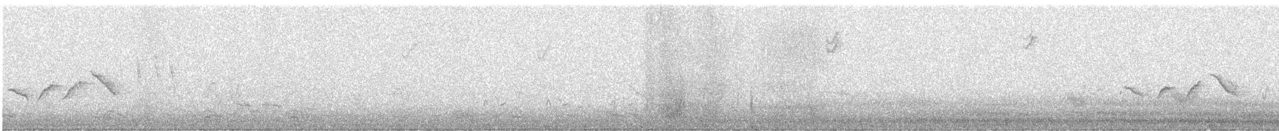 Пестрогрудая овсянка (Лисья) - ML645900283