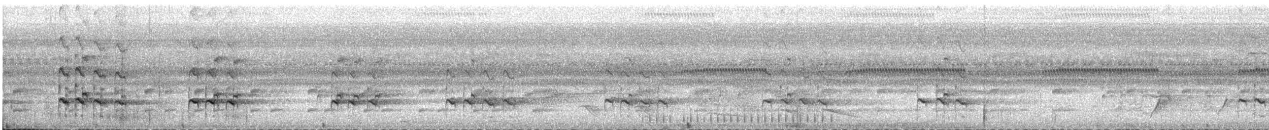 Пёстрый улит - ML645900376