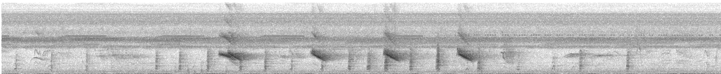 Violaceous Jay - ML645900534