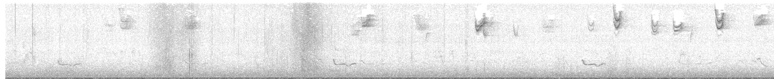 Eastern Bluebird - ML645900648