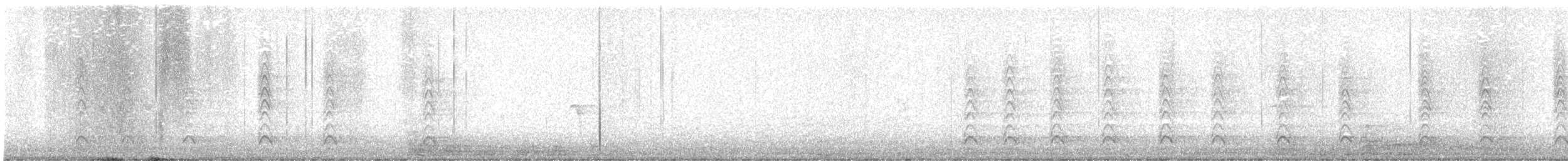 Cuervo Americano - ML645900667