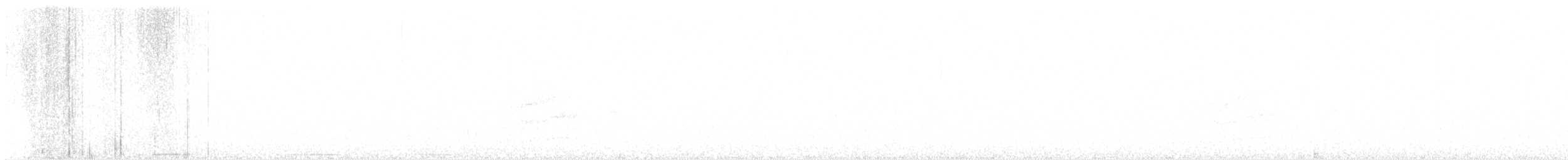 Toquí Moteado - ML645900676