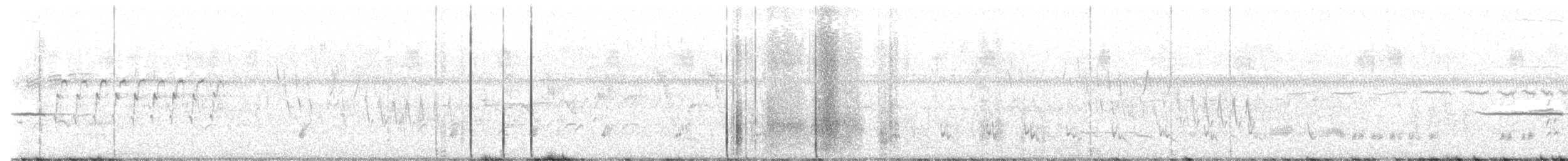 Bachman's Sparrow - ML645900867