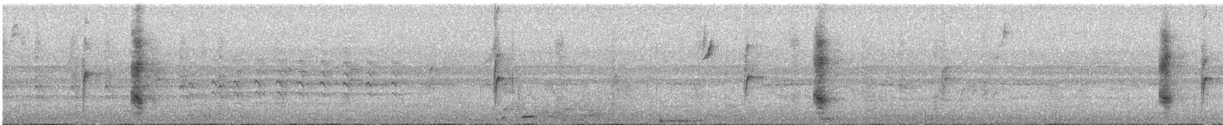 Masked Tityra - ML645901217