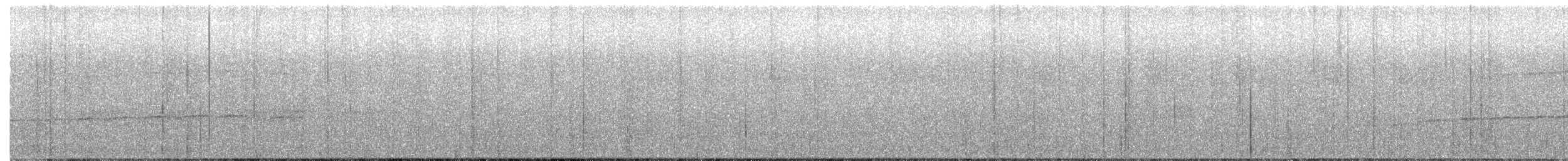 Ocellated Antbird - ML645901249