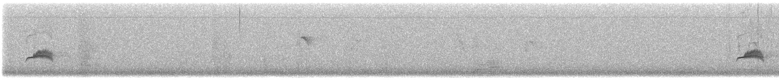 Western Wood-Pewee - ML645901263