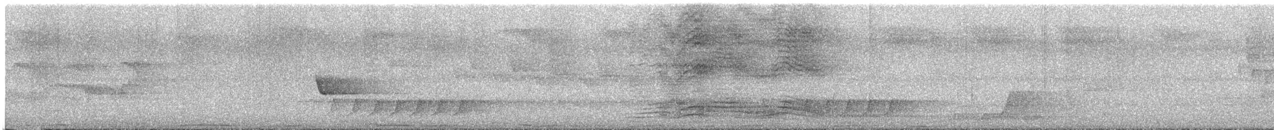 Spotted Catbird - ML645901656