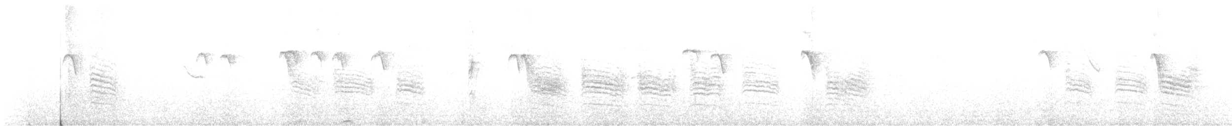 Willow Tit - ML645901701