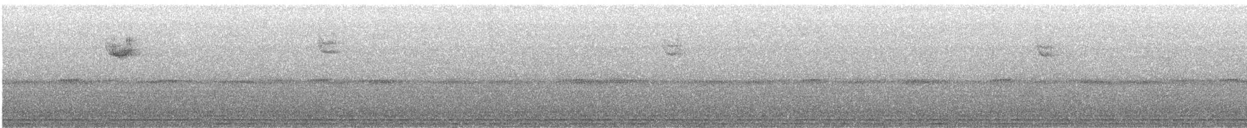 White-throated Sparrow - ML645901761