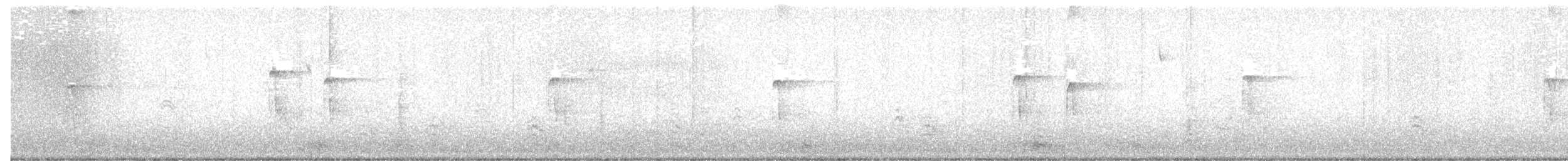 Hairy Woodpecker - ML645903214