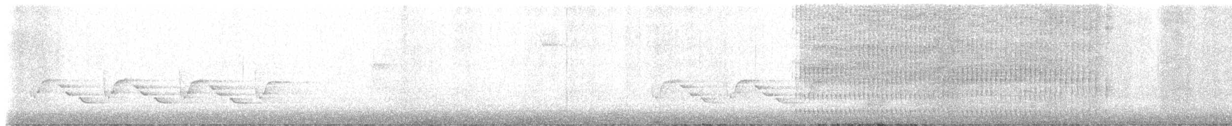 Carolina Wren - ML645903245