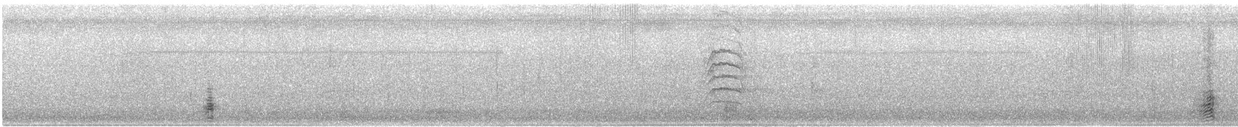 White-faced Ibis - ML645903288