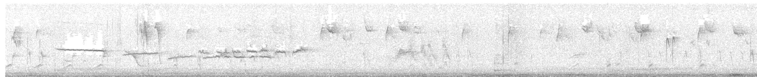 White-throated Sparrow - ML645903705