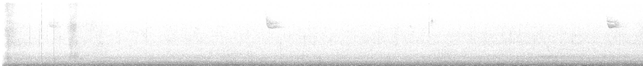 White-throated Sparrow - ML645903919